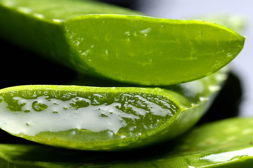 100% echte aloe vera gel. Bio Halal Vegan. Ecolife aloë vera producten online bestellen
