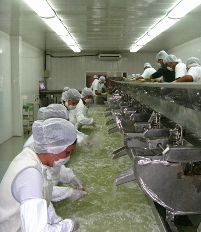 aloë vera gel wordt met de hand gewassen. 100% koud verwerkt. 200% effectief.