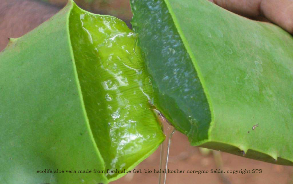 gel aloe vera - puur - natuurlijk