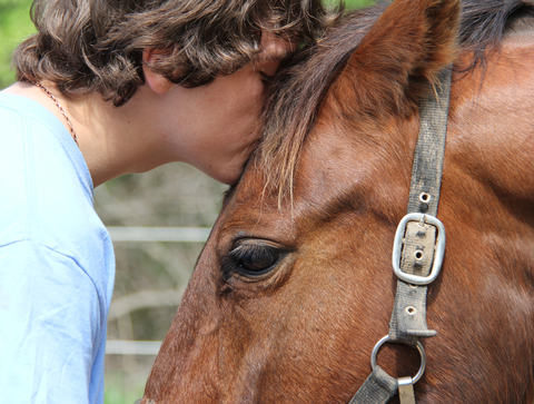 Paarden en aloe vera. jouw liefde - jouw paard - de beste!